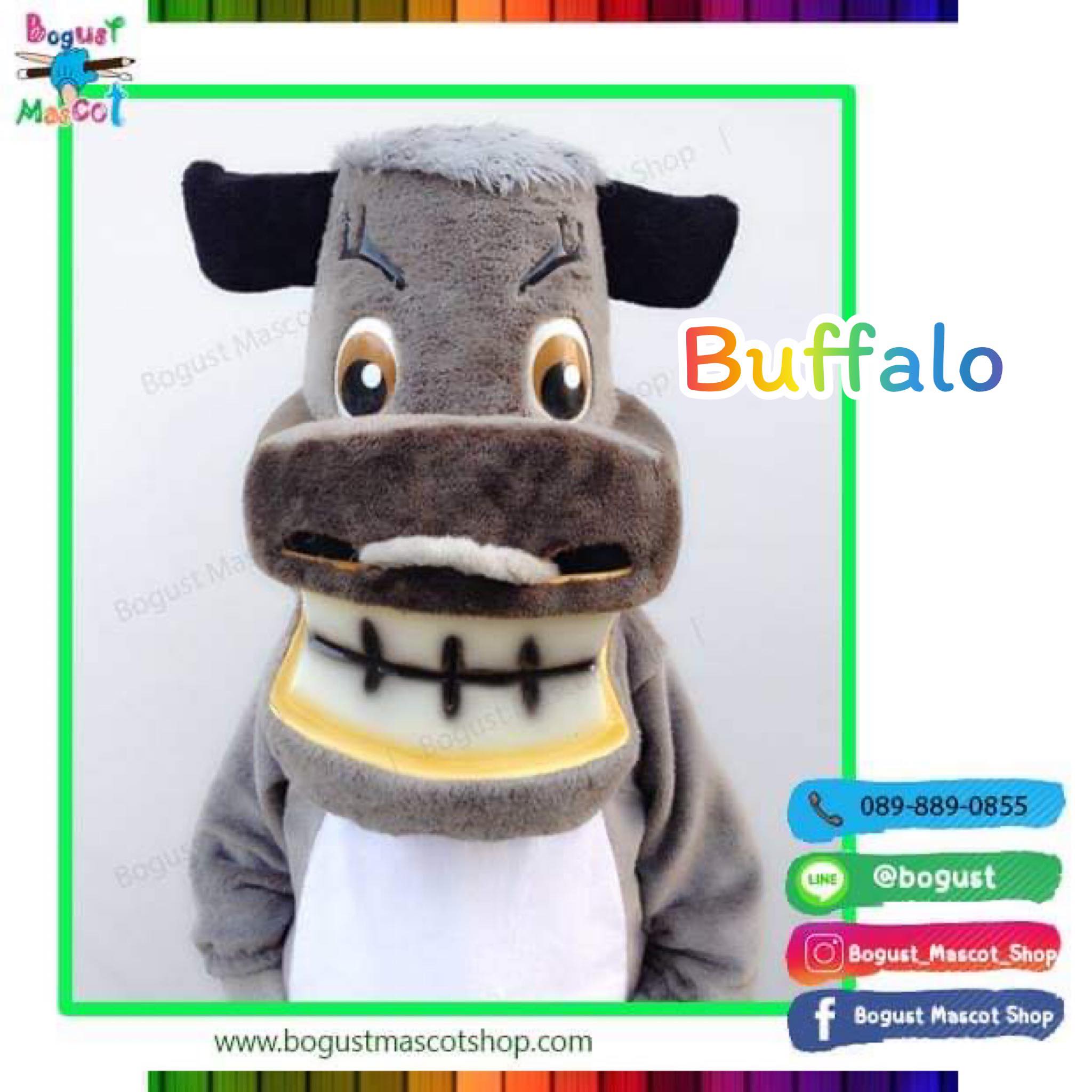 มาสคอต (Mascot) ---> ควาย