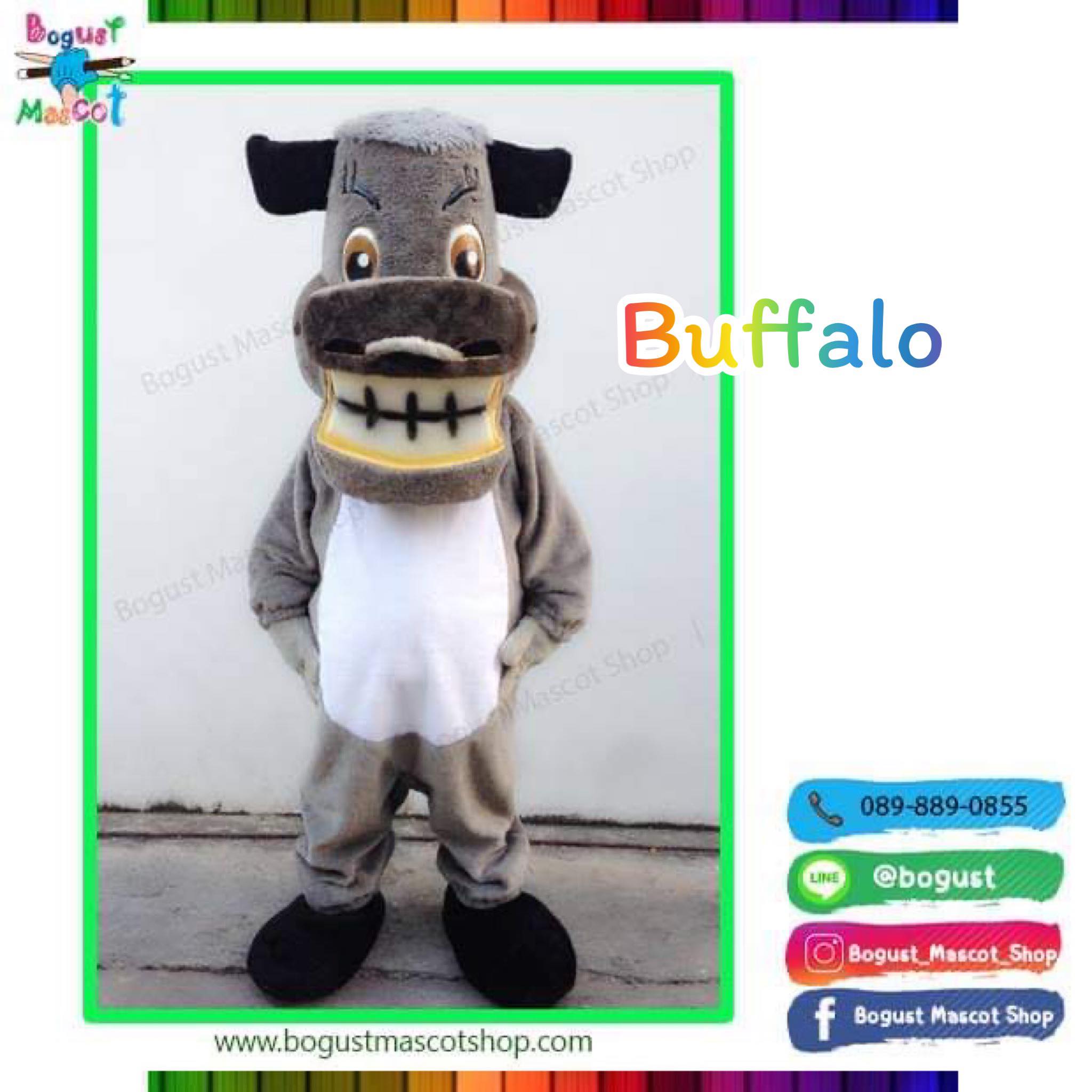 มาสคอต (Mascot) ---> ควาย